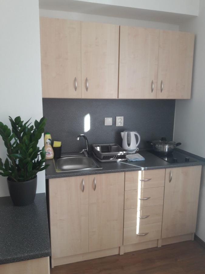 Apartmany Lipa Tábor Kültér fotó