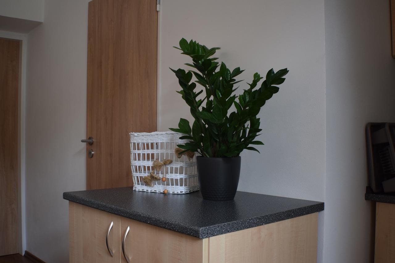 Apartmany Lipa Tábor Kültér fotó